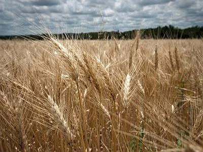 Alimentari, pagamenti più rapidi