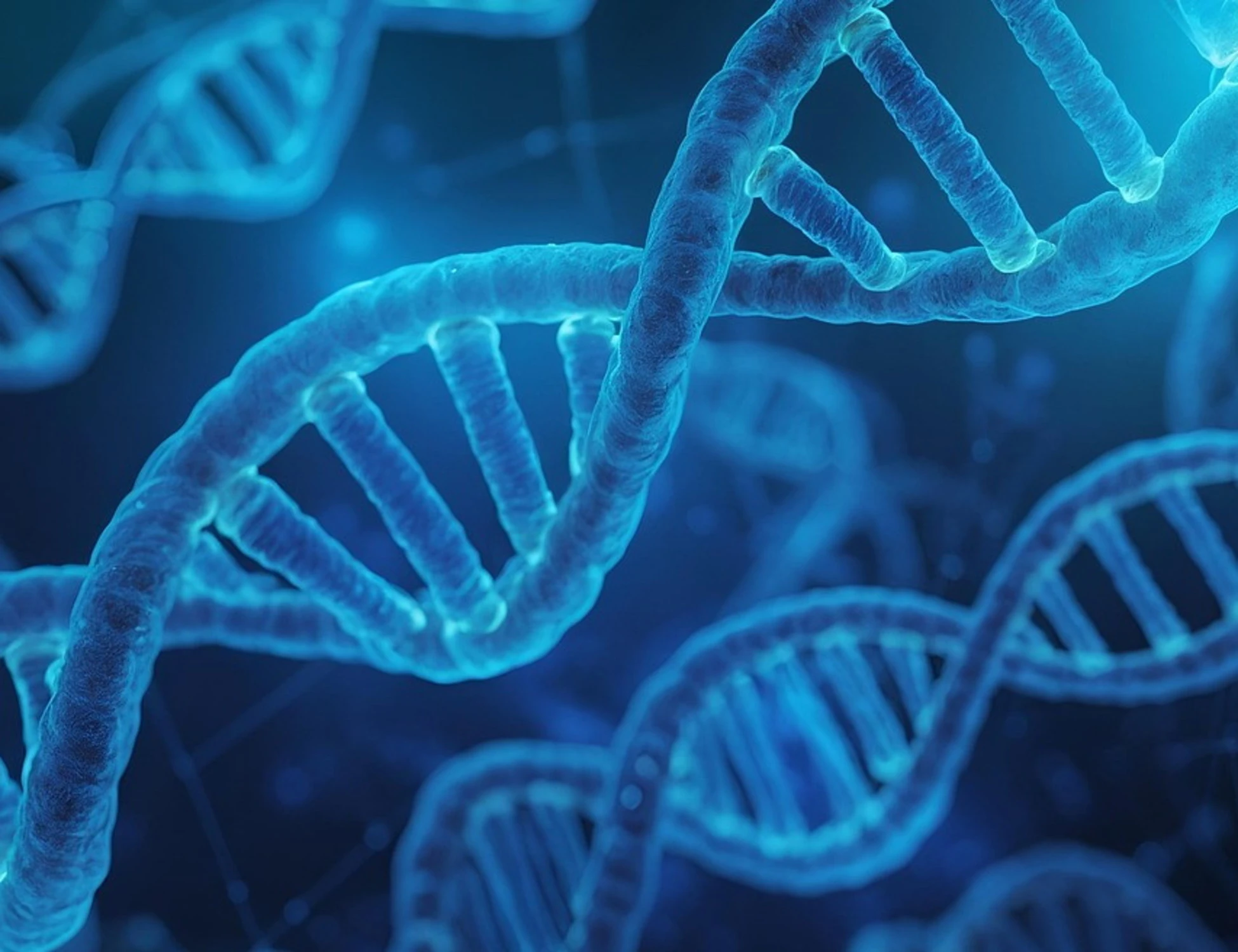 Longevità, il ruolo della rapamicina: il segreto per una lunga vita?