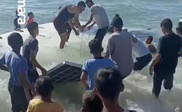 Flotilla, nave alla deriva arriva (vuota) a Gaza? "Siamo commossi", pro-Pal da ridere