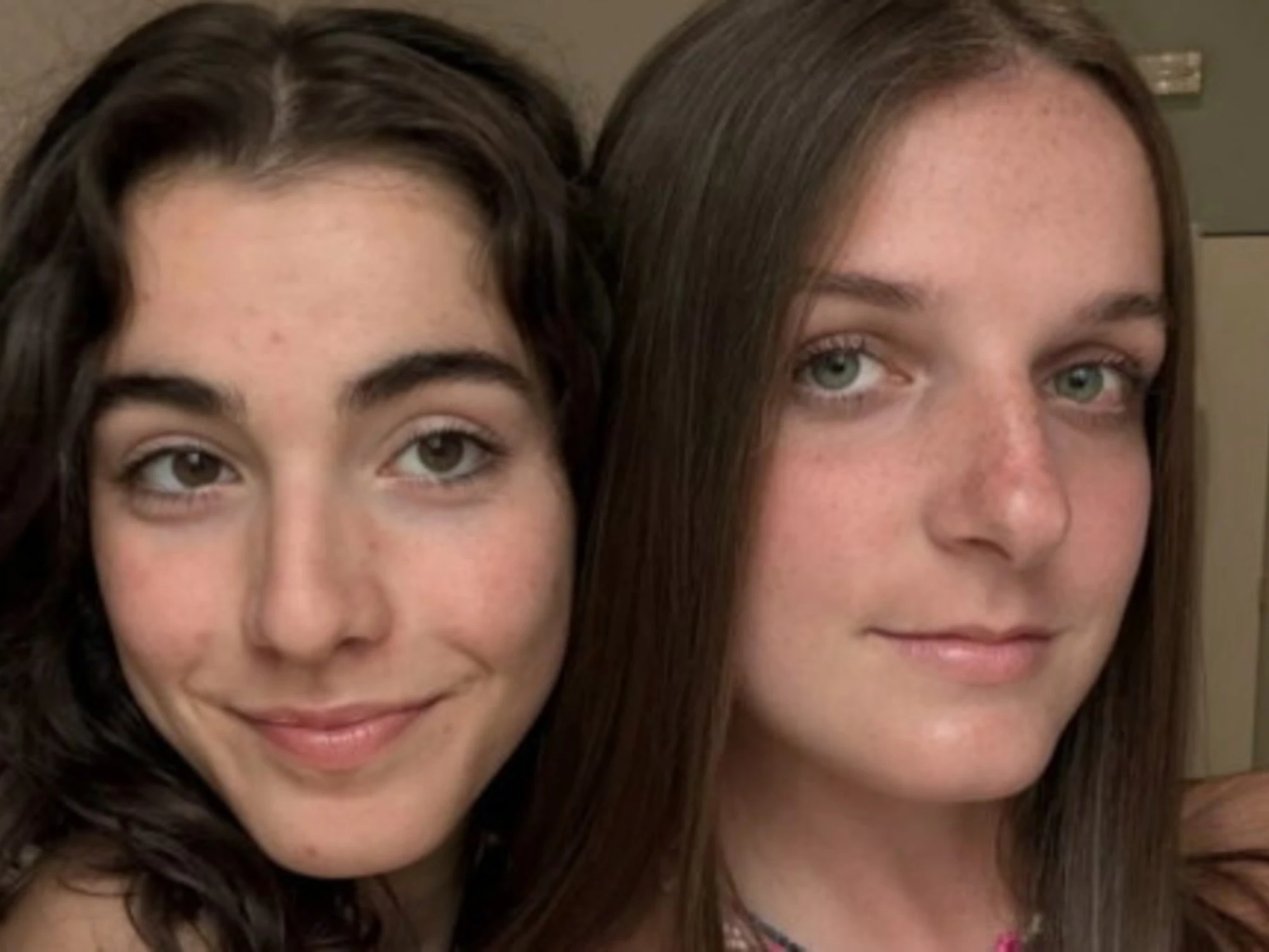 Brivio, Milena e Giorgia travolte e uccise da un furgone: chi c'era alla guida