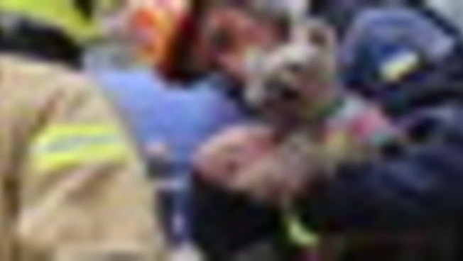 Ucraina, cagnolina estratta viva dalle macerie dopo l'attacco russo