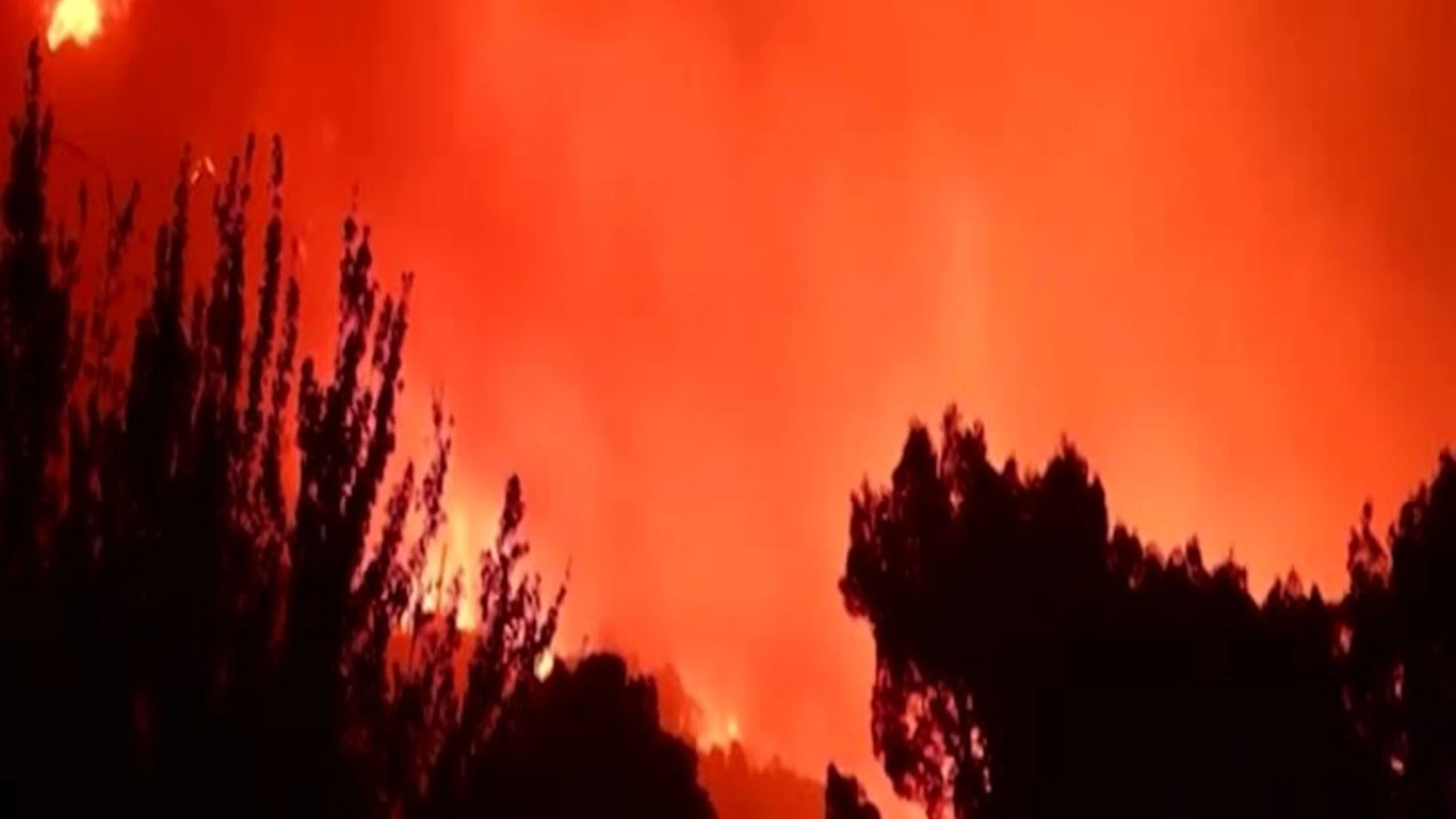 Croazia, incendio sulla costa: 7 feriti e oltre mille evacuati