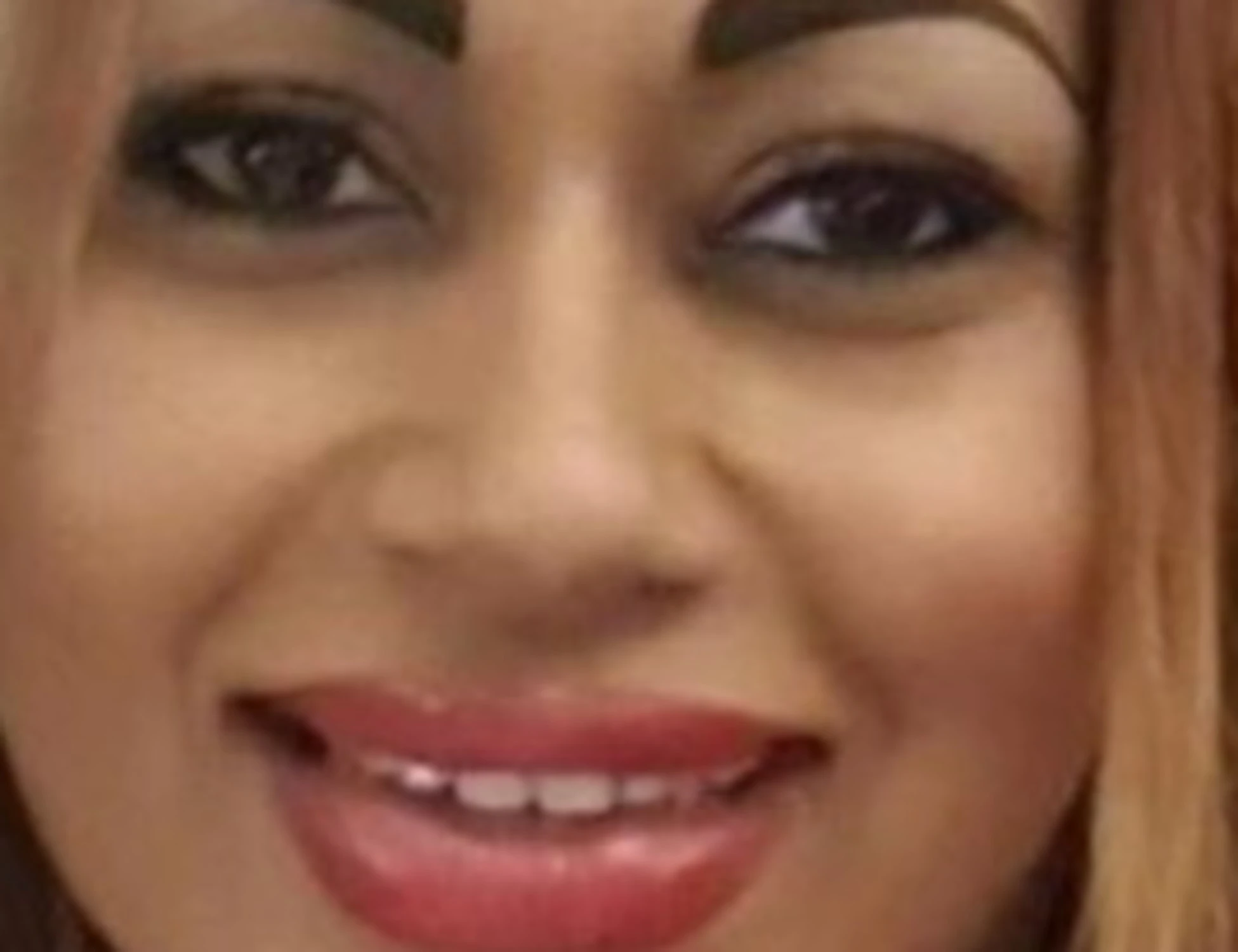 &quot;Foglie in bocca&quot;: killer di Milano, ipotesi-choc