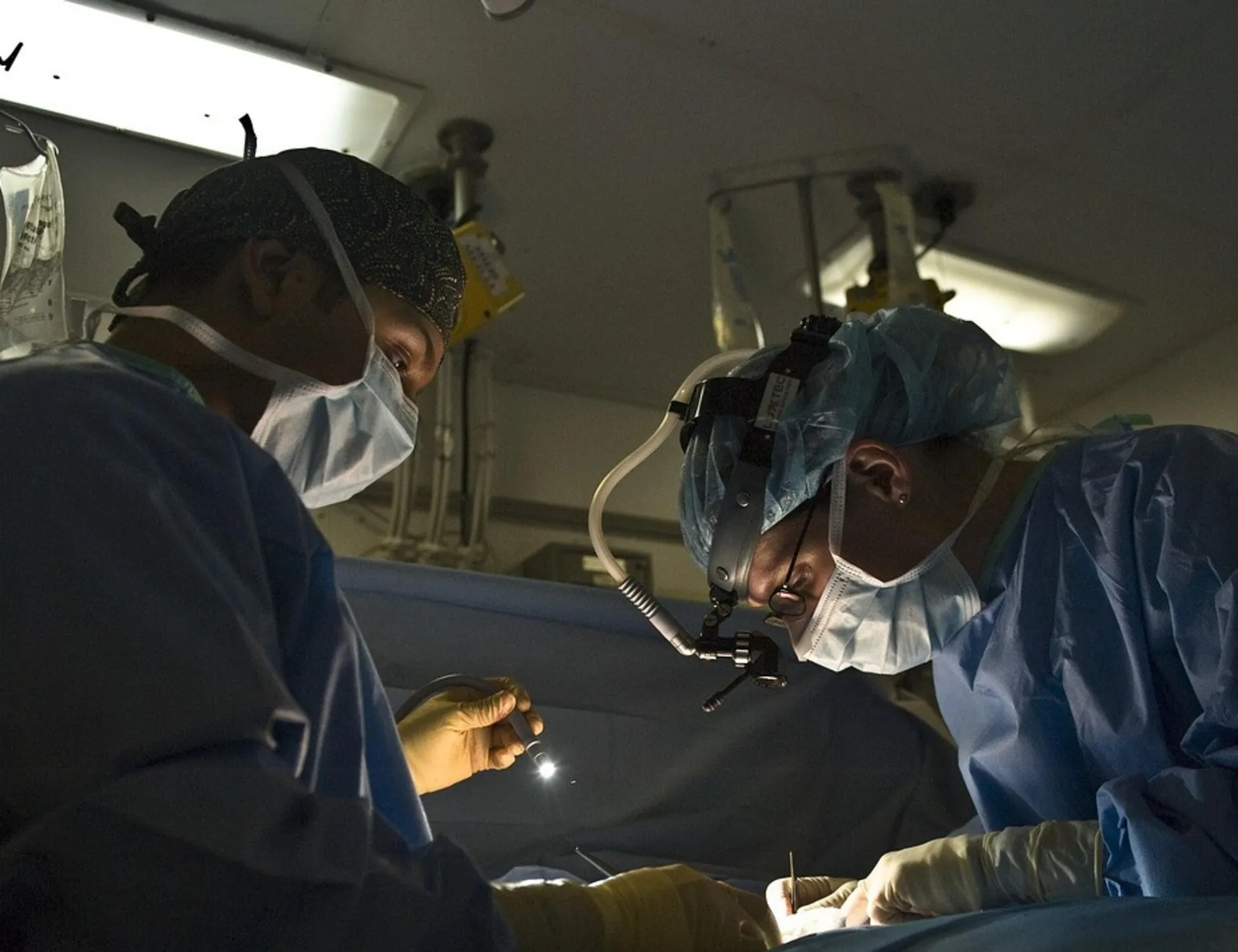 Il super fungo Candida auris, allerta negli ospedali italiani