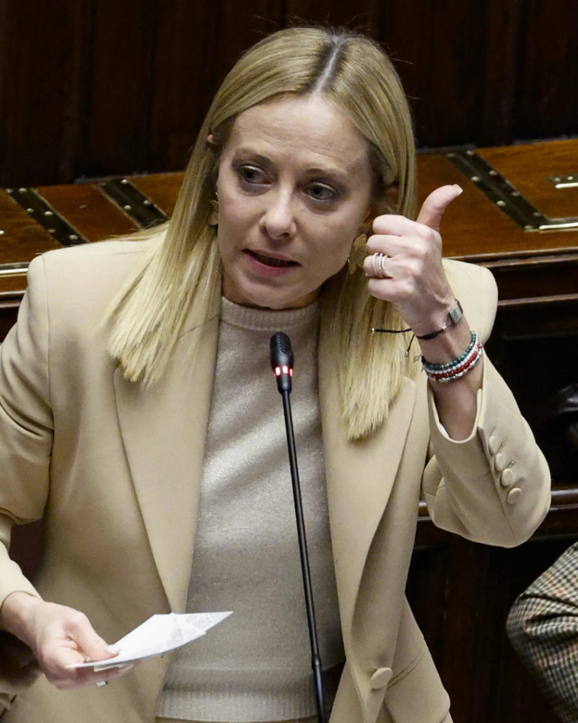 Meloni silura la legge sul green deal europeo