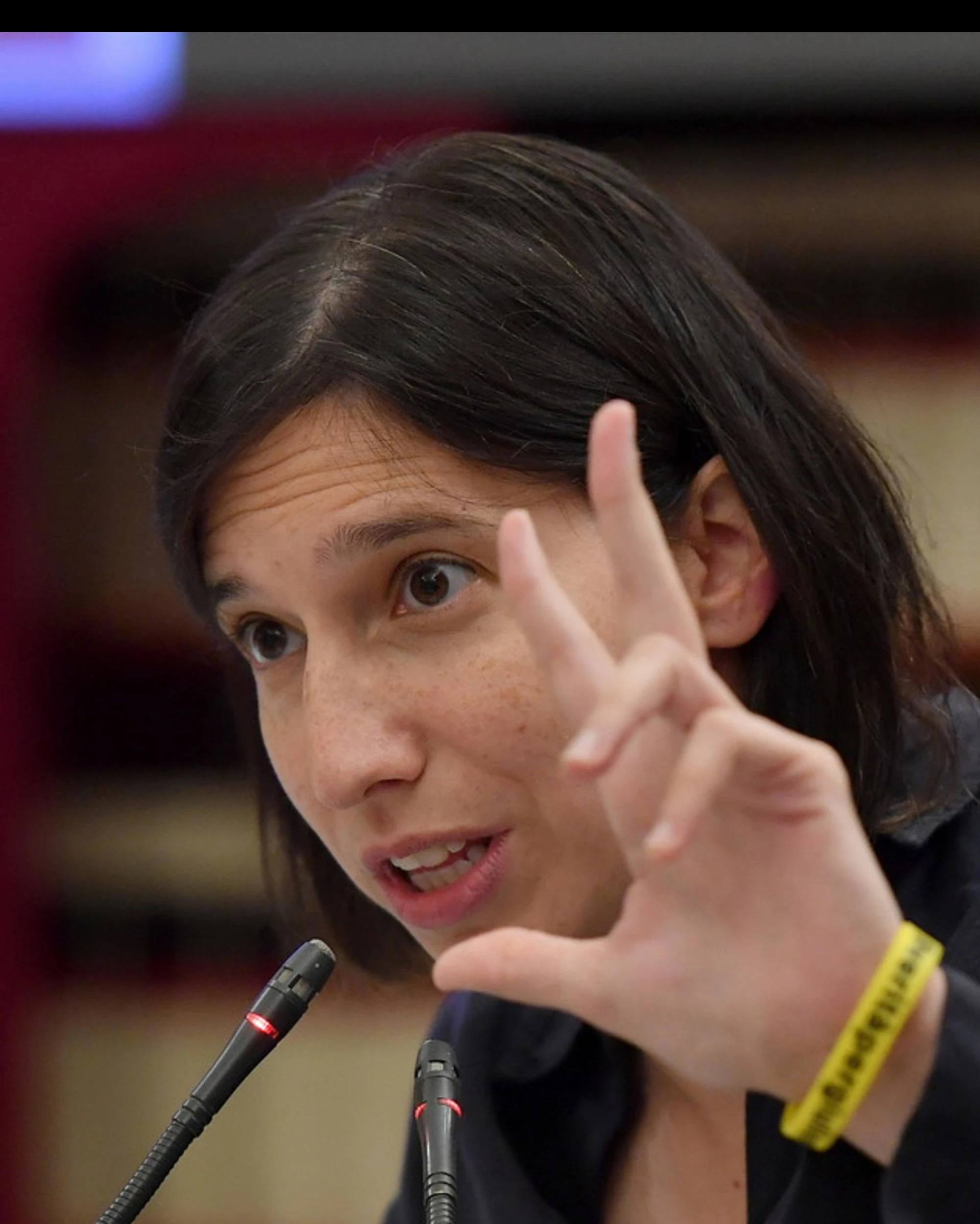 Elly Schlein candidata premier, cresce la fronda nel Pd: chi dice no