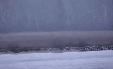 I soldati russi entrano in Estonia: il video scuote il mondo