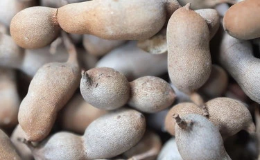 Tamarindo, quando mangiarlo per "salvare" l'intestino