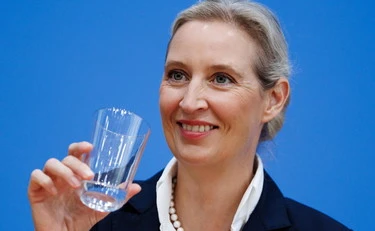 Sondaggio, l'Afd si prende la Germania: "Per il 65% dei tedeschi", uno tsunami