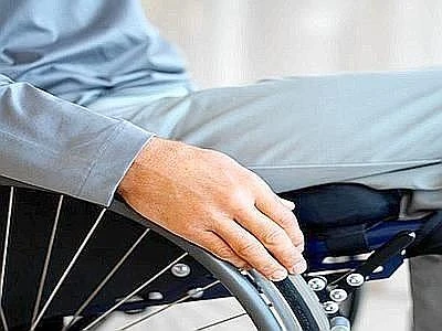 Boschi senza barriere accessibili a tutti, al via intesa Forestale-Fiaba