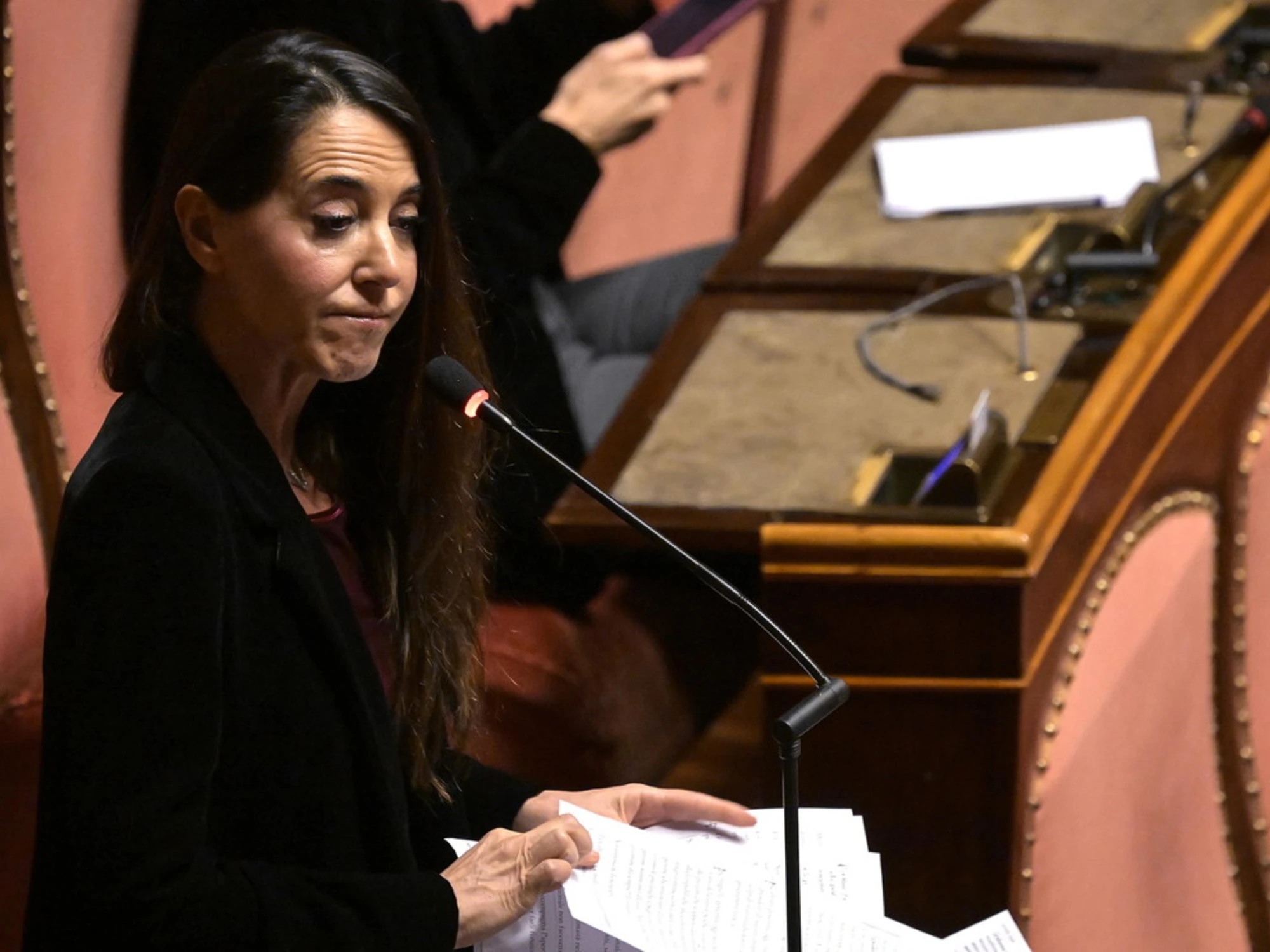 Licia Ronzulli spiana il generale Vannacci: "A cosa è disposto per 2 voti in più"