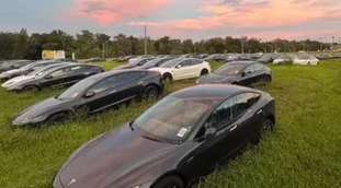 Tesla, la foto virale con le auto abbandonate: ecco la verità, non è come sembra