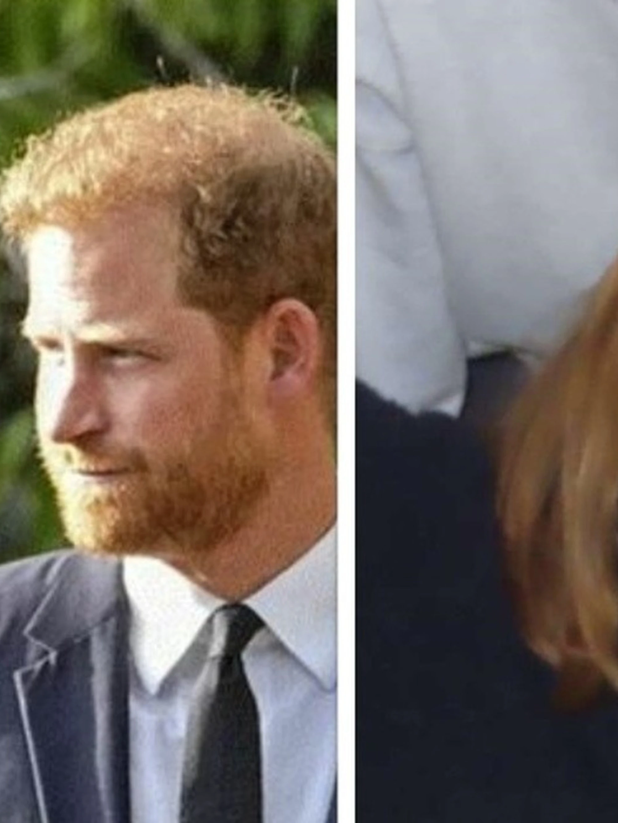 Rosie Roche, morta a 20 anni la cugina di William e Harry: una pistola accanto al corpo