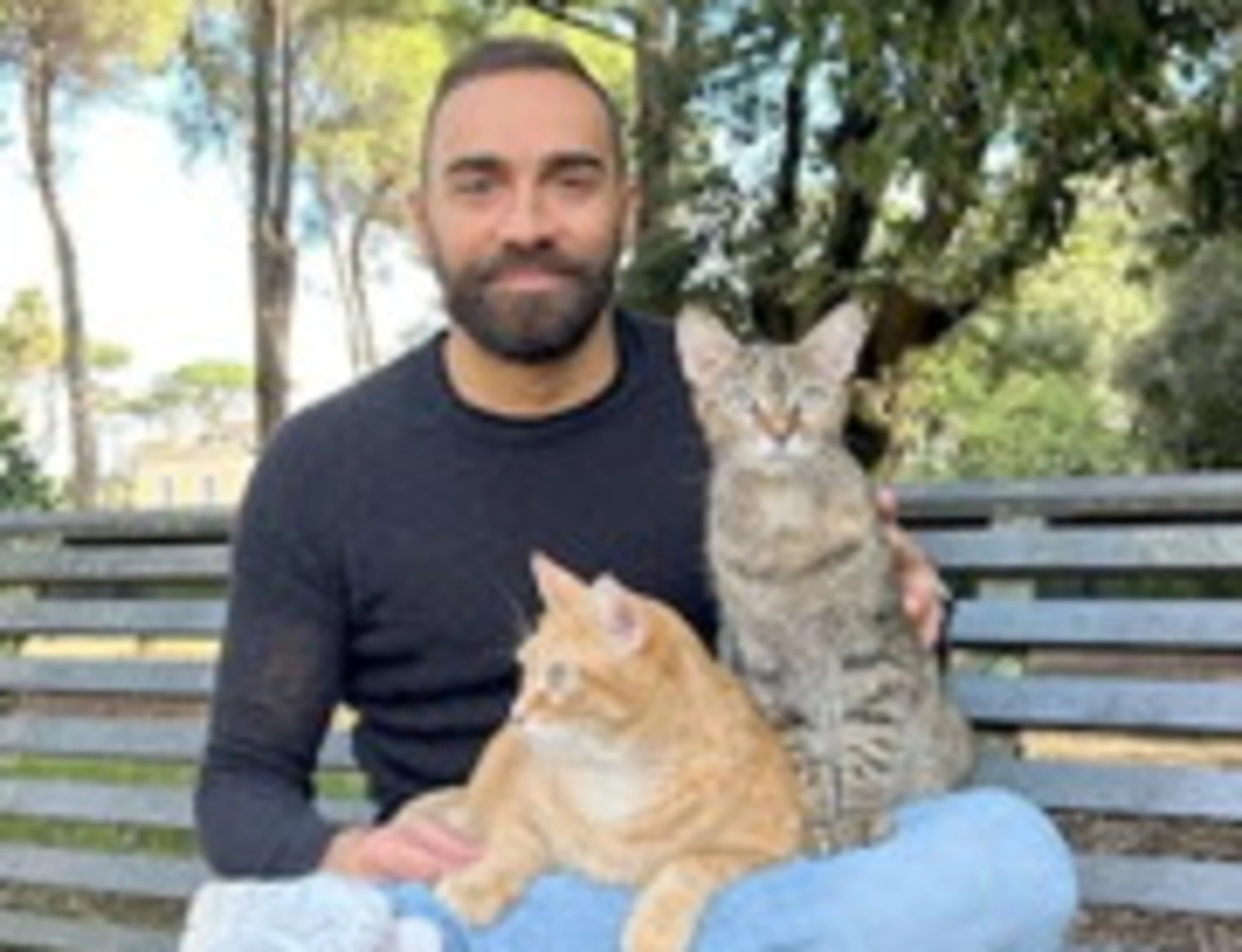 GATTI: COME ACCAREZZARLI?  TUTTI I SEGRETI AL SUPERCAT SHOW