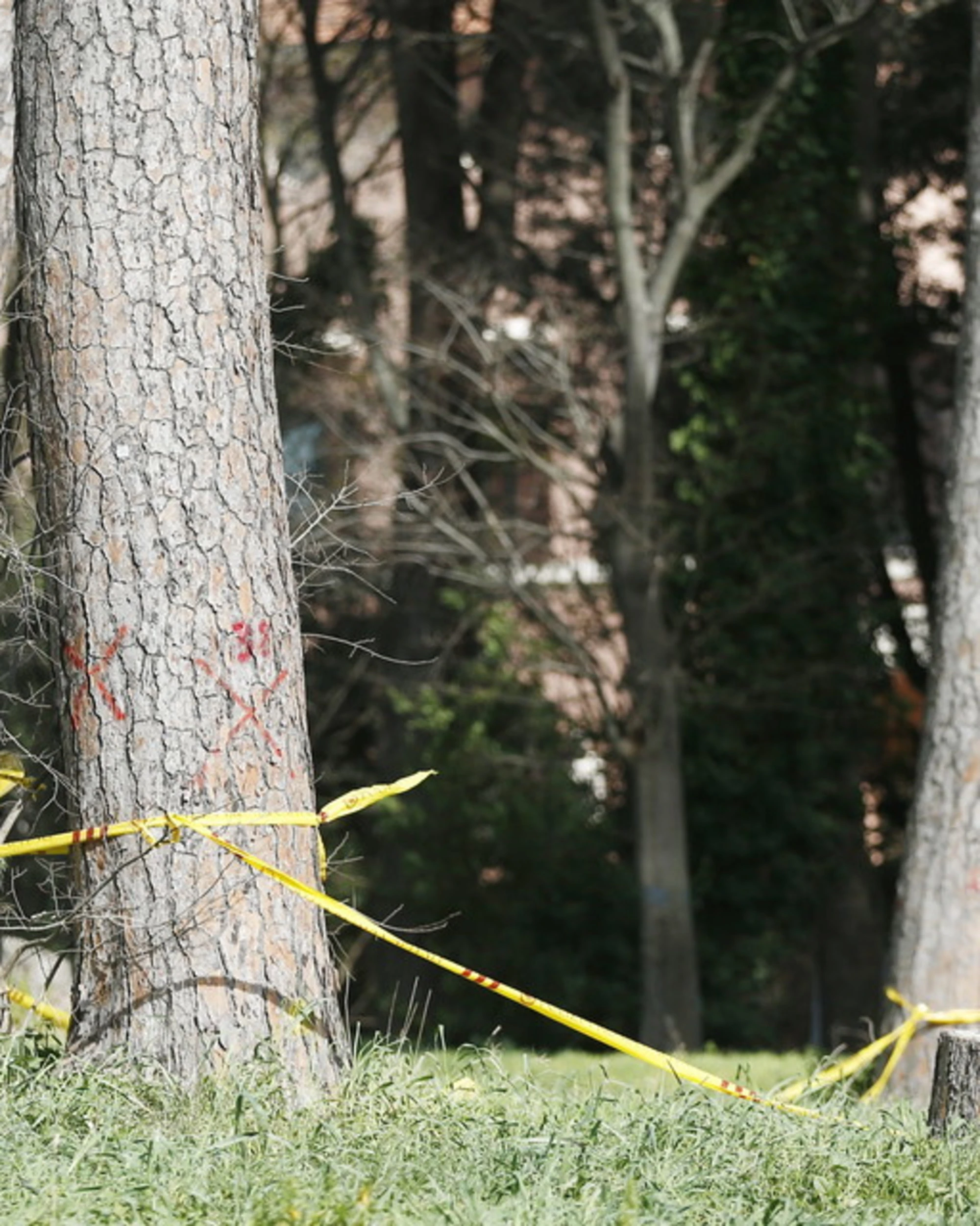 Orrore a Roma, neonata trovata morta vicino a una siepe a Villa Pamphili