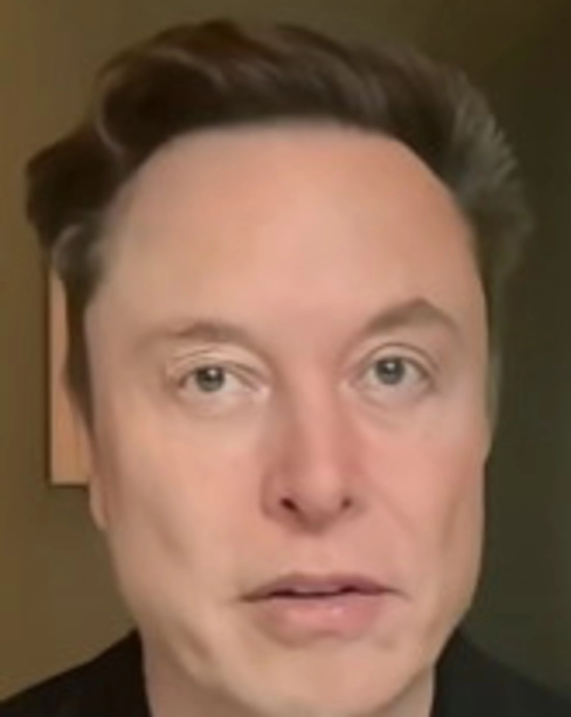 Elon Musk al congresso della Lega: "Terrorismo, uccisioni di massa in Europa. Dazi? Spero a zero"