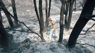 California, il mega incendio