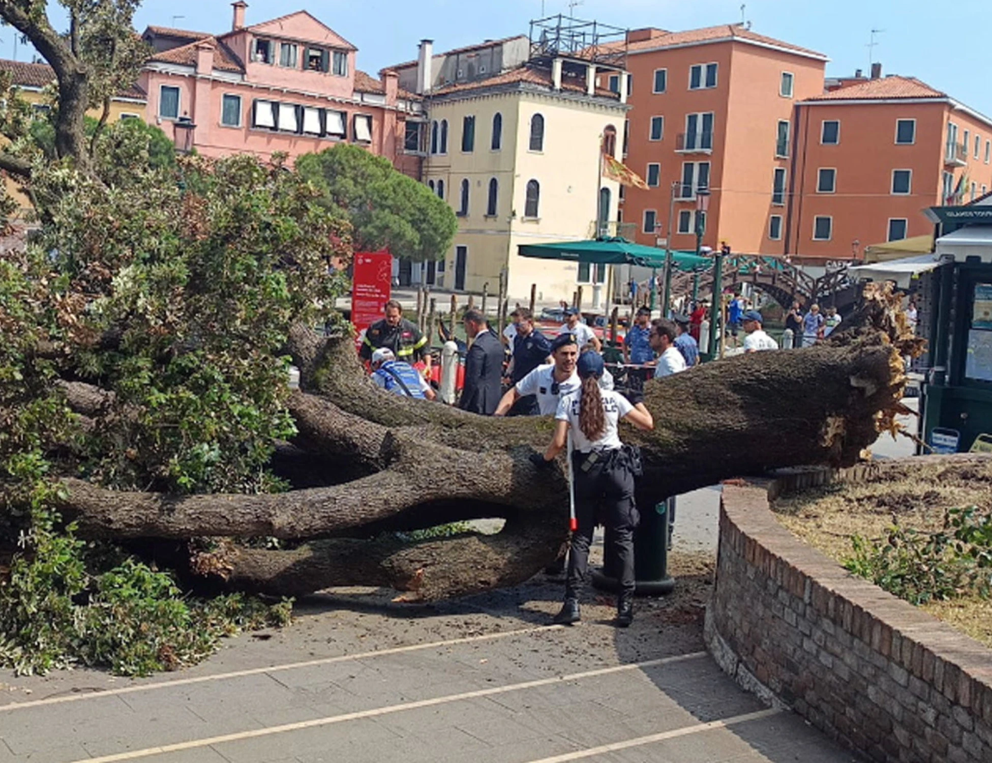 Venezia, crolla un albero a piazzale Roma: chi c'era sotto