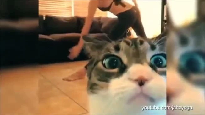 640x360