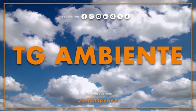 Tg Ambiente - 31/5/2026