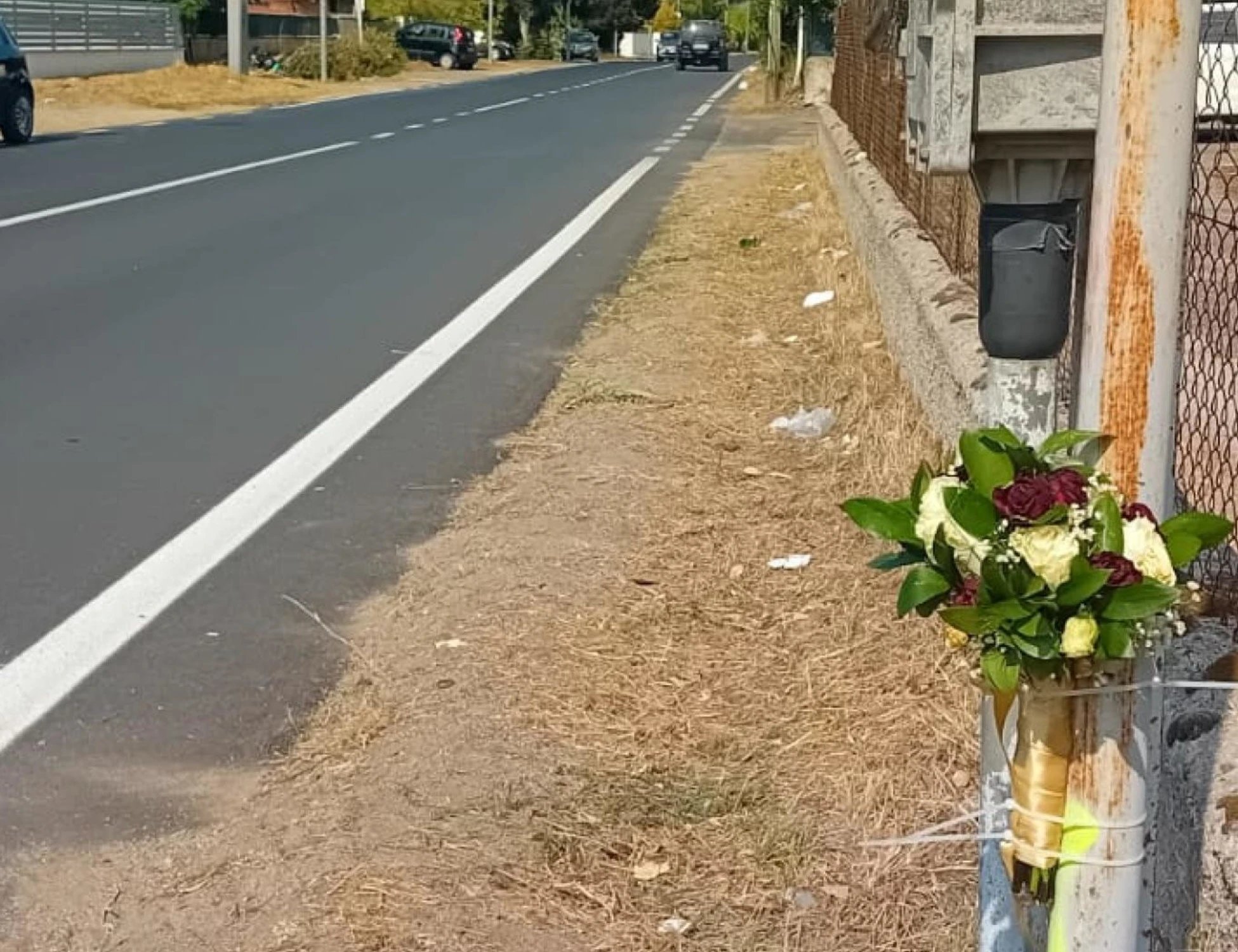 Circeo, "quale auto cerchiamo": ragazzi investiti, ore contate per il pirata