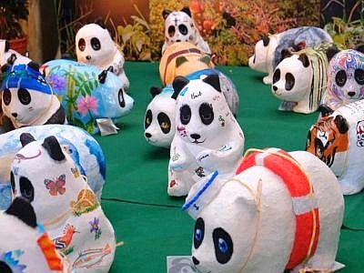 Al via l'asta per i panda del Wwf. Elisa, Negramaro e Pennetta tra i testimonial