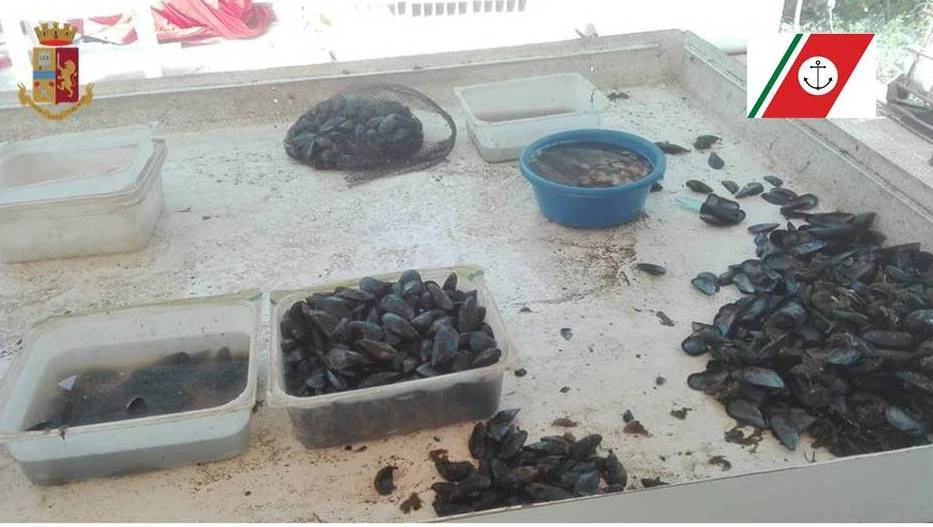 TARANTO, SEQUESTRATI DUE QUINTALI DI COZZE