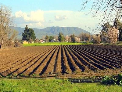Con tecnologie e satelliti -20% di consumi idrici per l'irrigazione in agricoltura