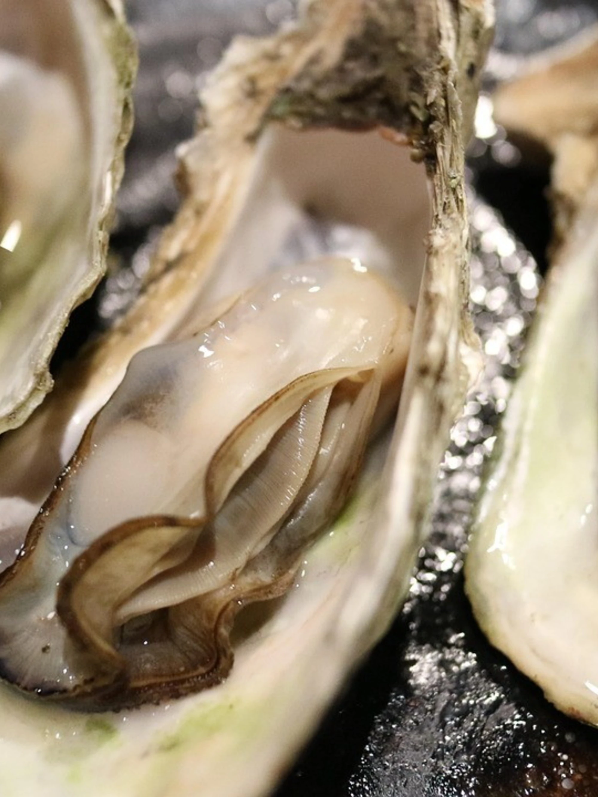 Ostriche, quando il mollusco veniva trattato come una patatina