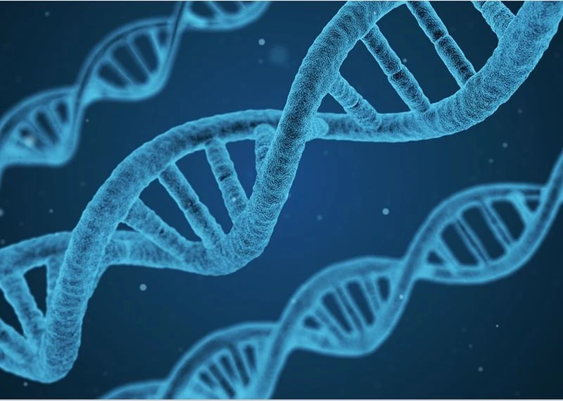 ESSELUNGA E FONDAZIONE TELETHON ALLEATI CONTRO LE MALATTIE GENETICHE