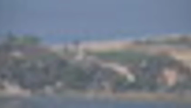 Coree, armi e fortificazioni militari visibili sul lato Nord