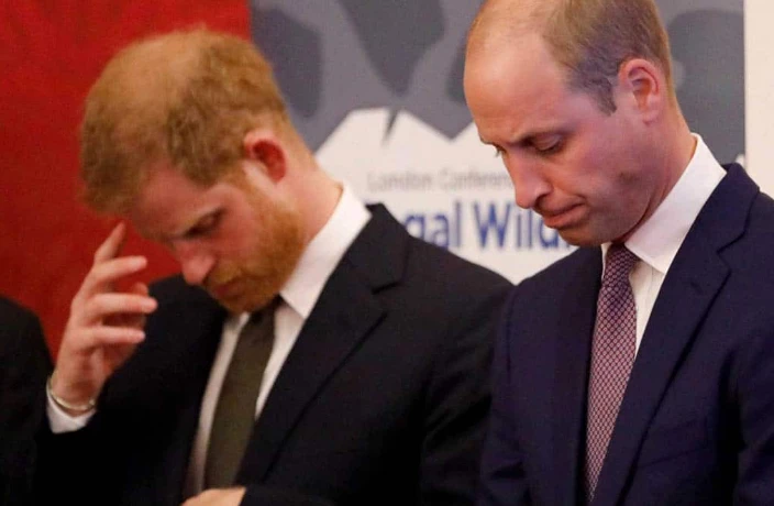 Meghan Markle e il Principe Harry fuori dalla Royal Foundation: la frattura irreparabile con William e Kate