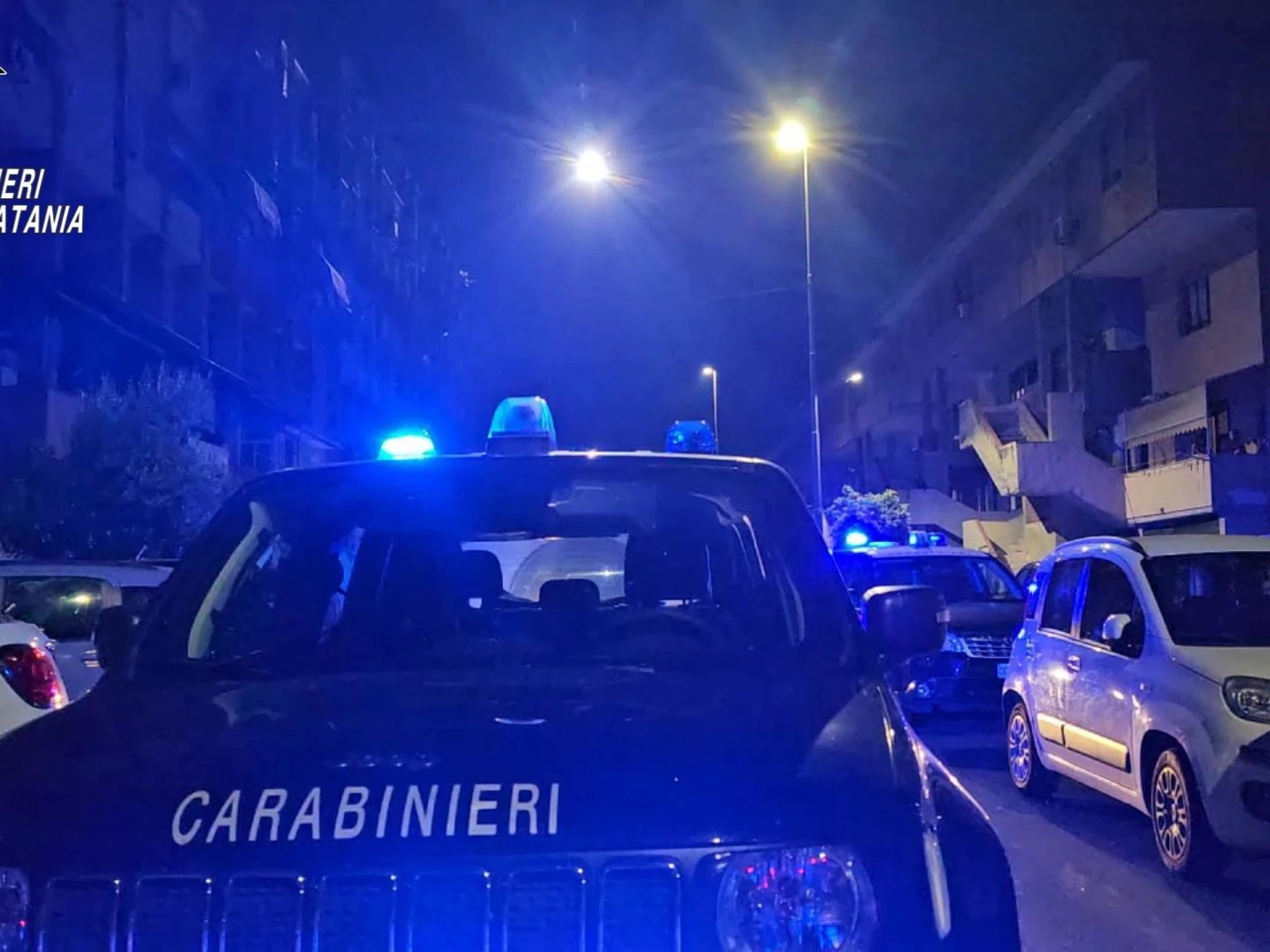 Bucano l'alt e pestano i militari: chi sono le belve