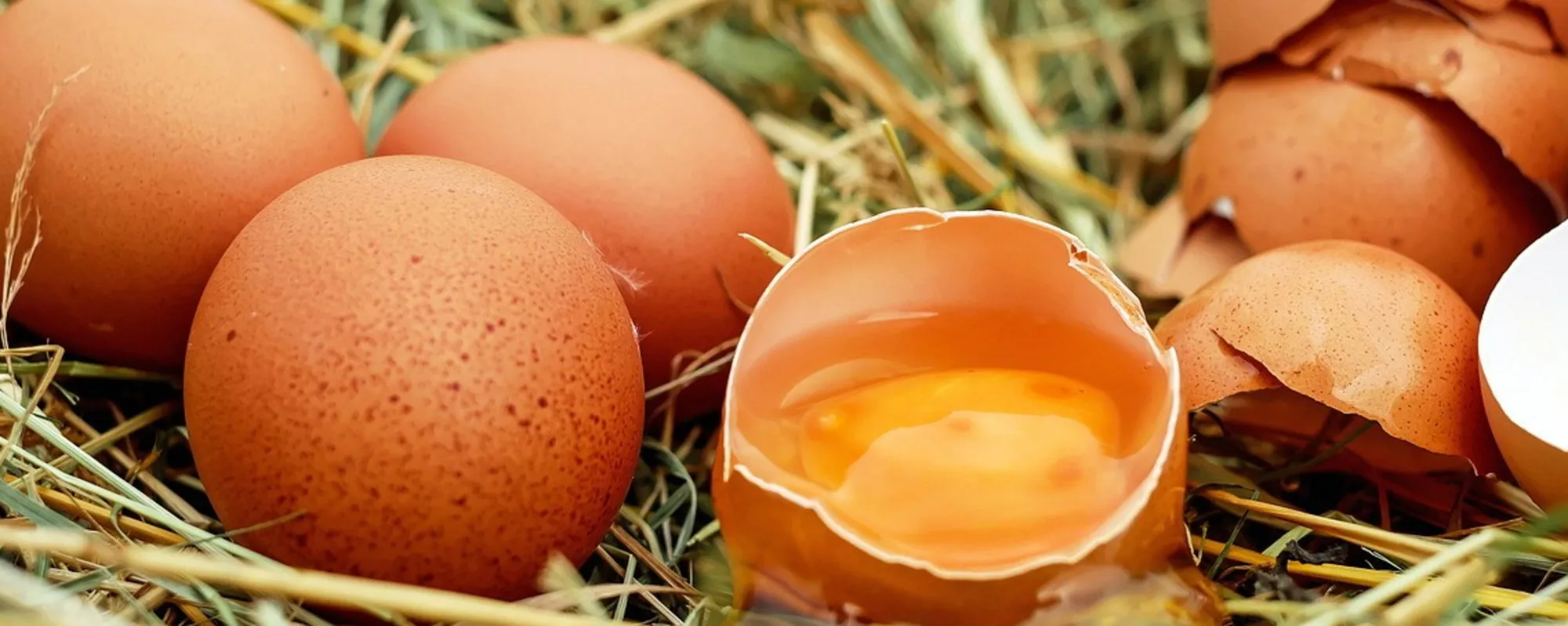 Le uova fanno bene o male? Dipende da quando le si mangia