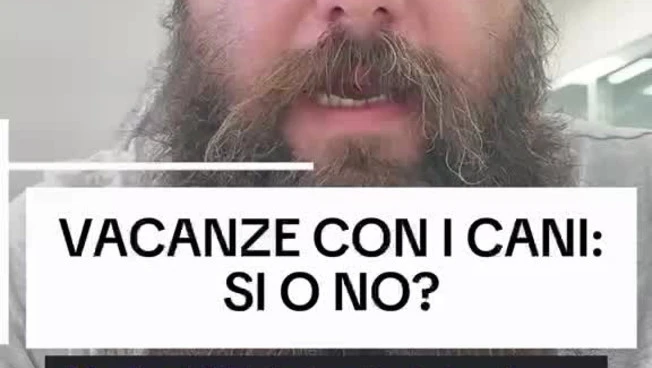 https://media.liberoquotidiano.it/zvDY1gyZi0blpq1kZrAyrAslxfp4Oi-wPRwcjg9irlI/width:800/quality:90/aW1hZ2VzLzIwMjYvMDgvMDkvMDgxNjE5NDAwLWYyYjJkMzJkLWQzNTMtNDkyNS1hOGJiLTAzMWJjZTdkMzI4ZS5qcGc.webp