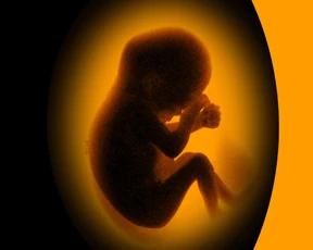 Maglie: un orrore costringere le donne ad avere figli malati