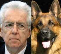 L'ultima tassa di Monti:quella su cani e gatti